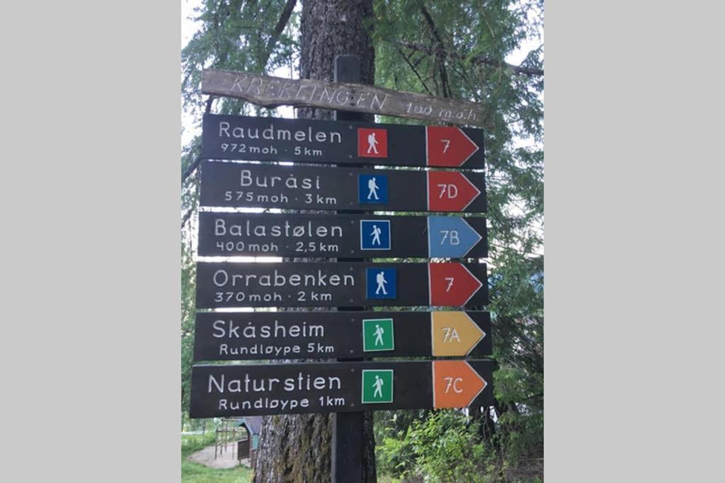 Balestrand Fjordapartments Holmen 19A Bagian luar foto