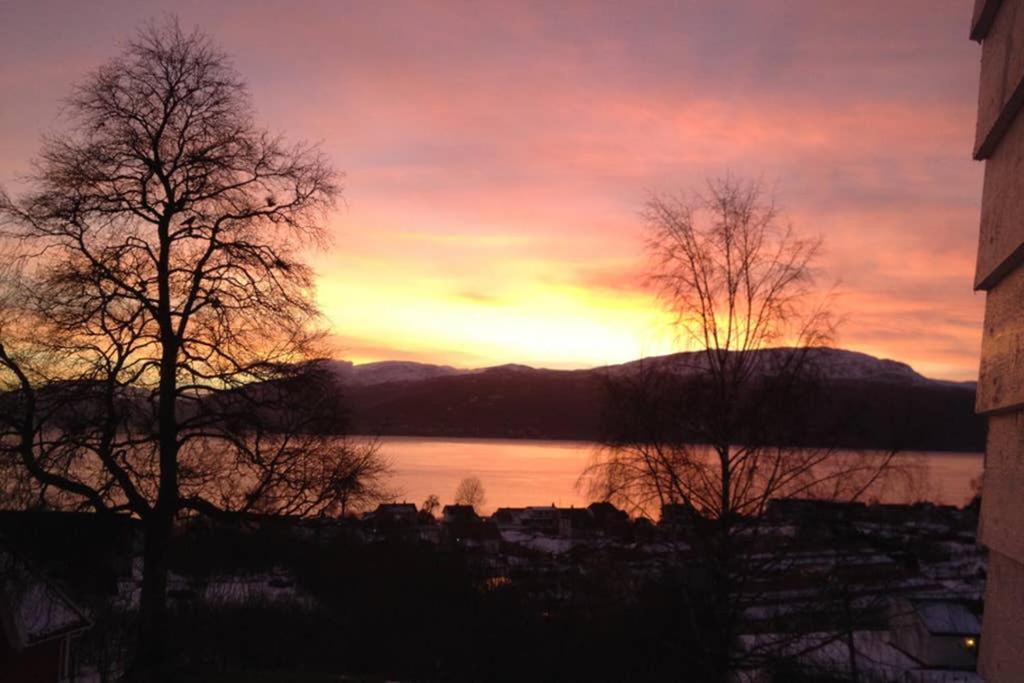 Balestrand Fjordapartments Holmen 19A Bagian luar foto