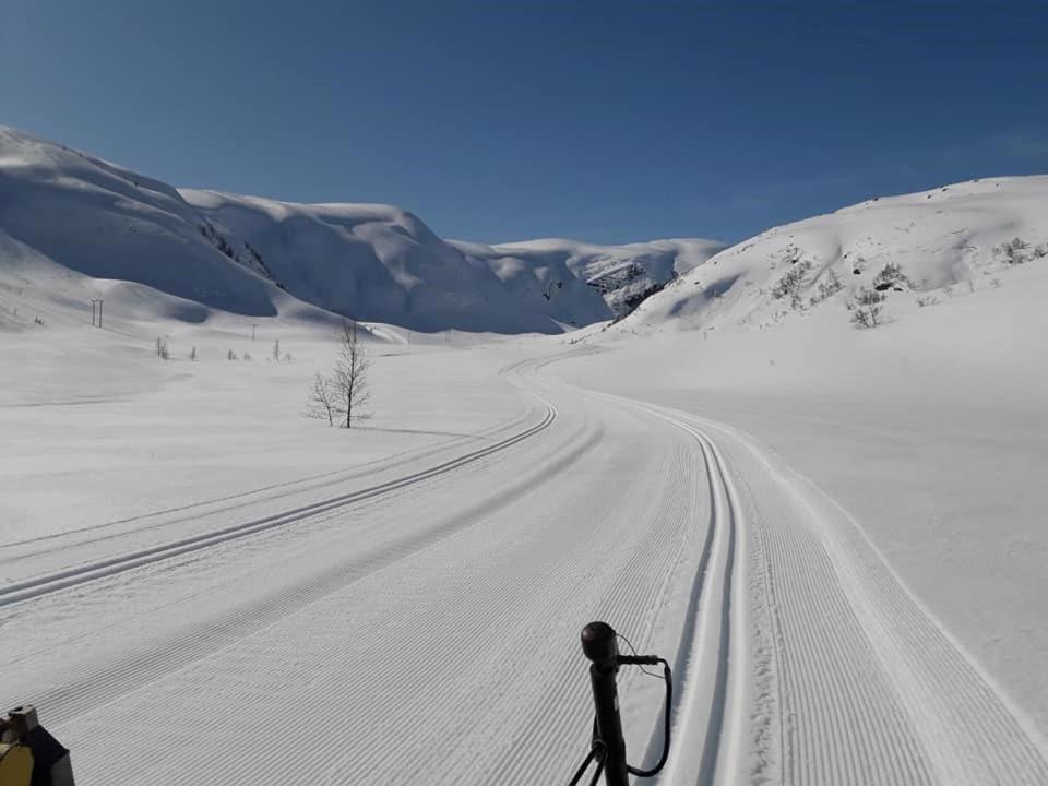 Balestrand Fjordapartments Holmen 19A Bagian luar foto